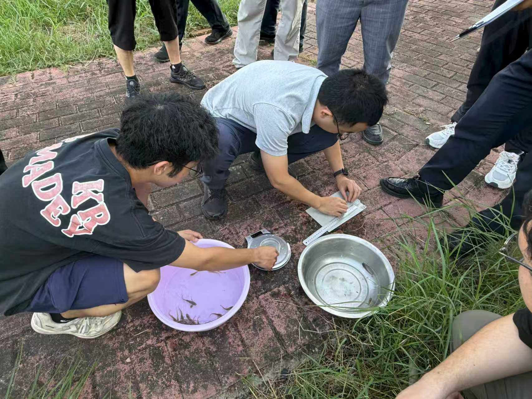 点击完整图片