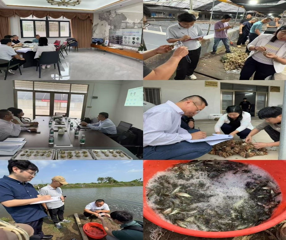 点击完整图片