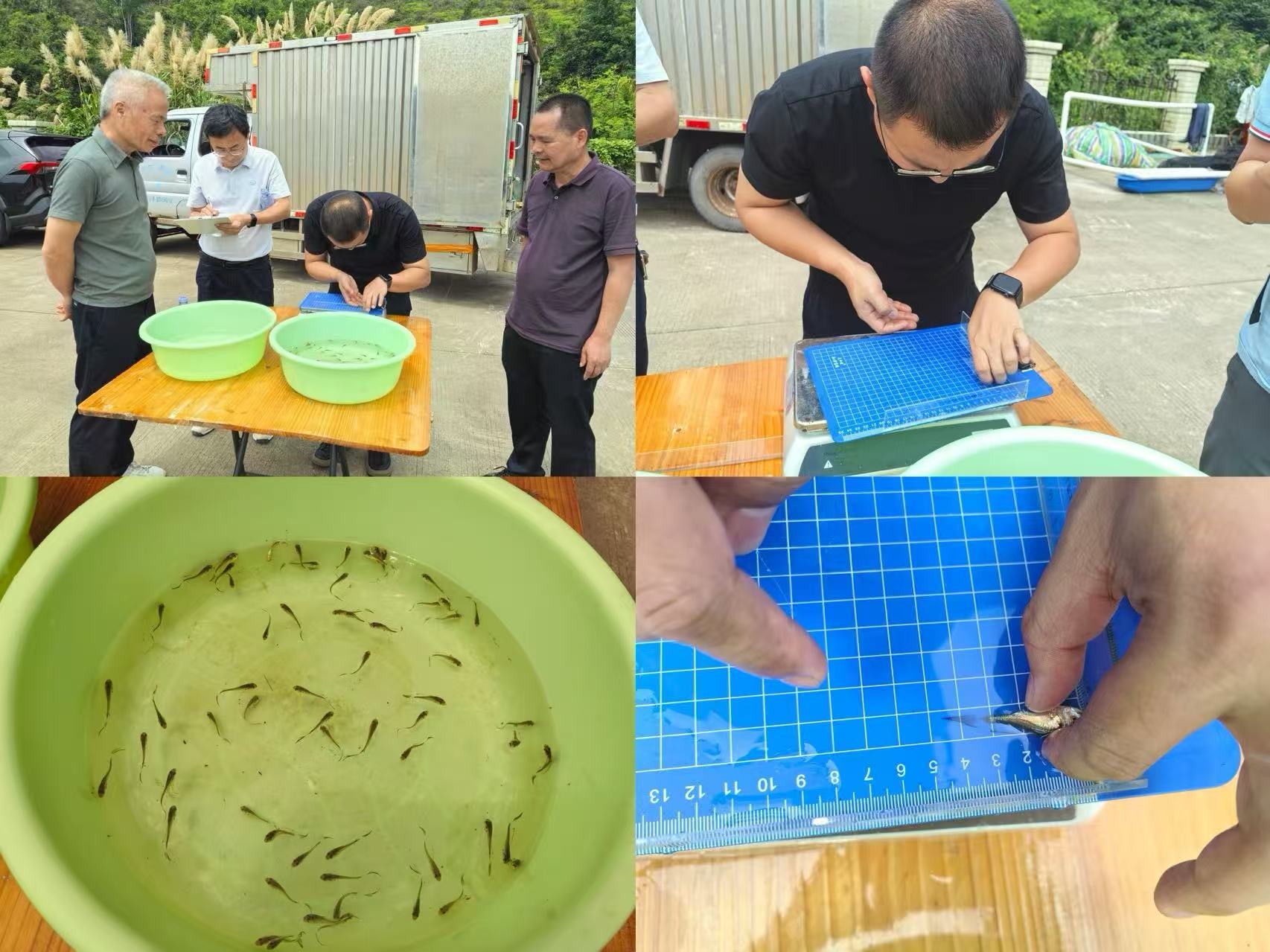 点击完整图片