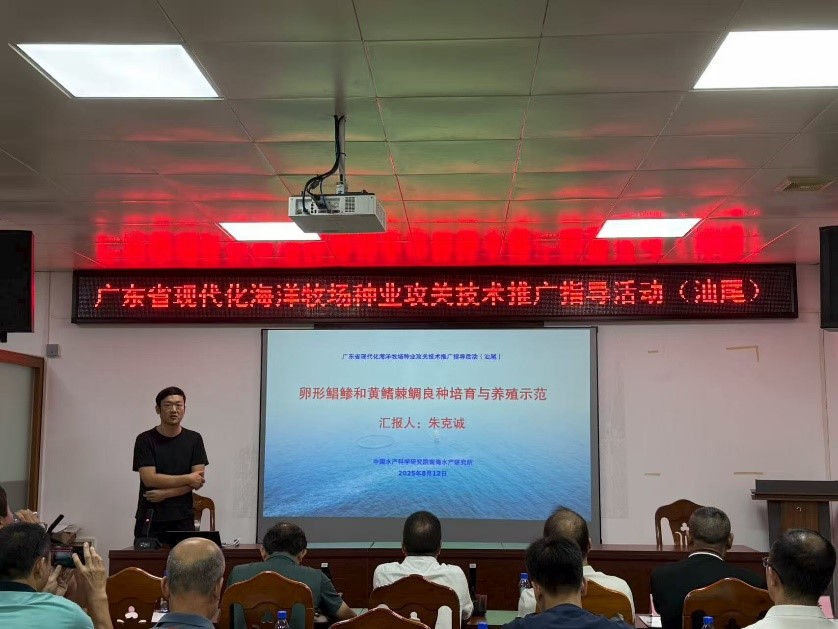 点击完整图片