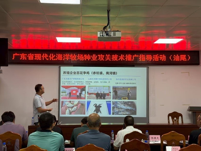 点击完整图片