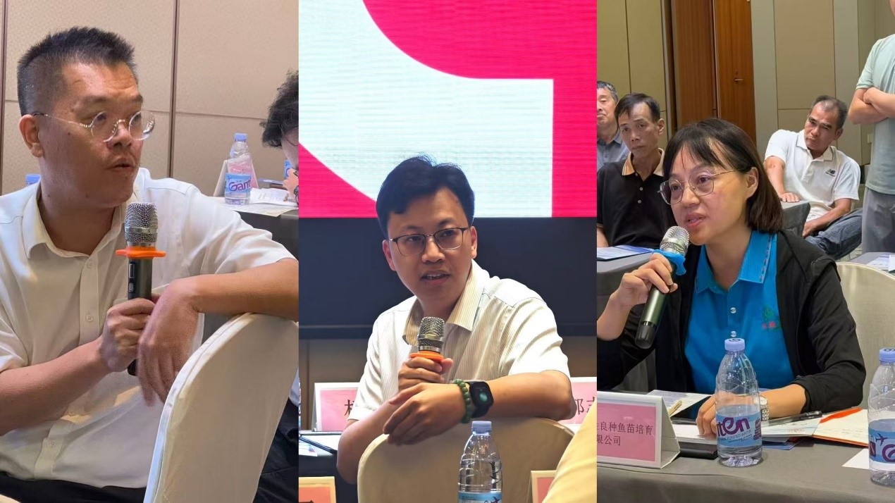 点击完整图片
